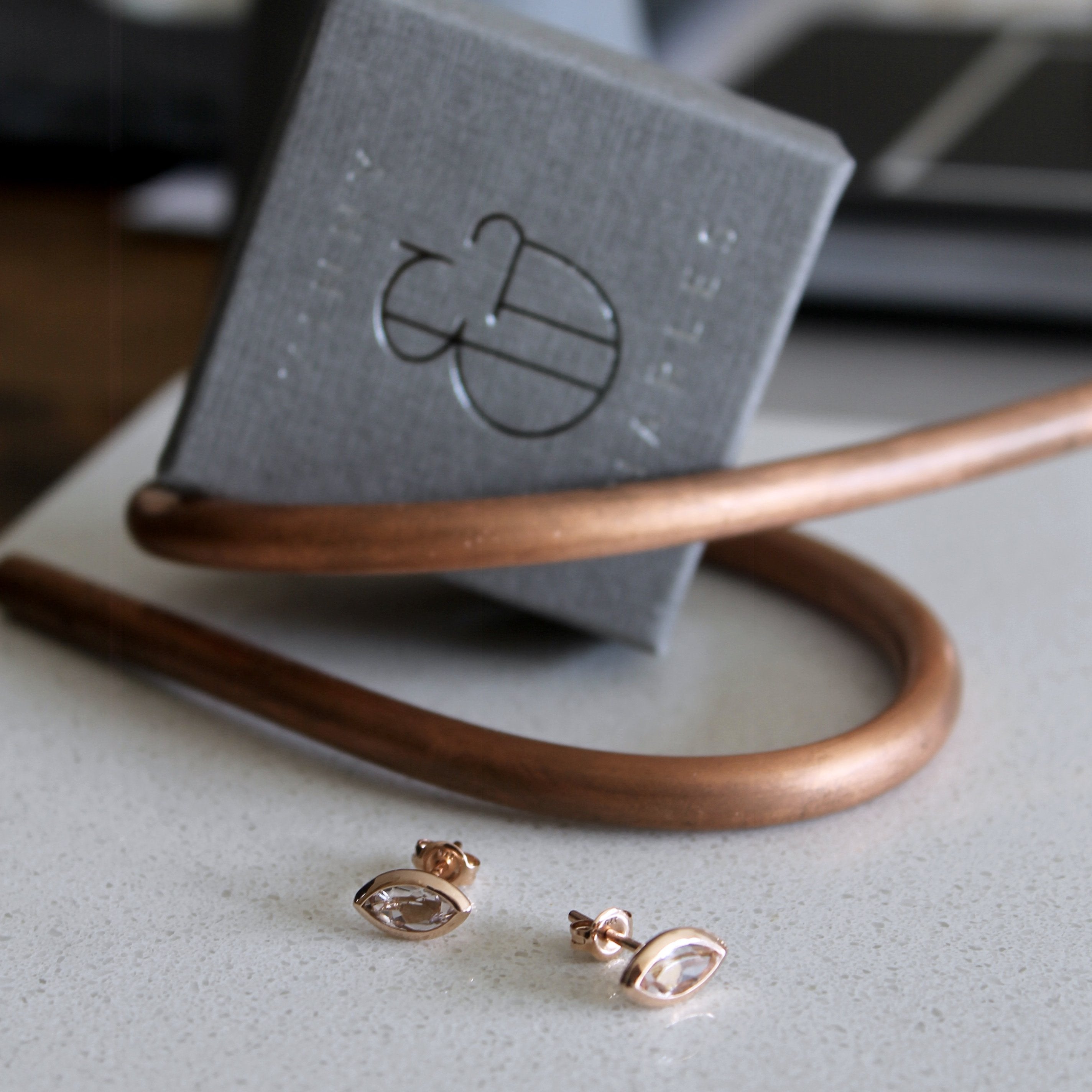 Morganite Earrings in 14k Gold - Vinny & Charles